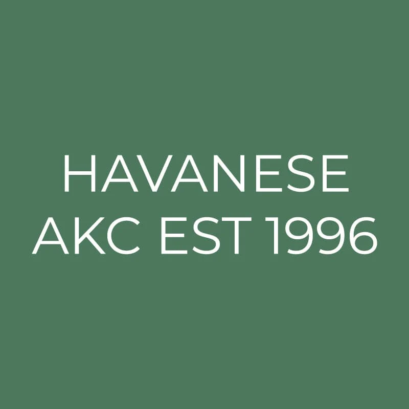 Havanese Embroidered AKC Quarter Zip - Image 15