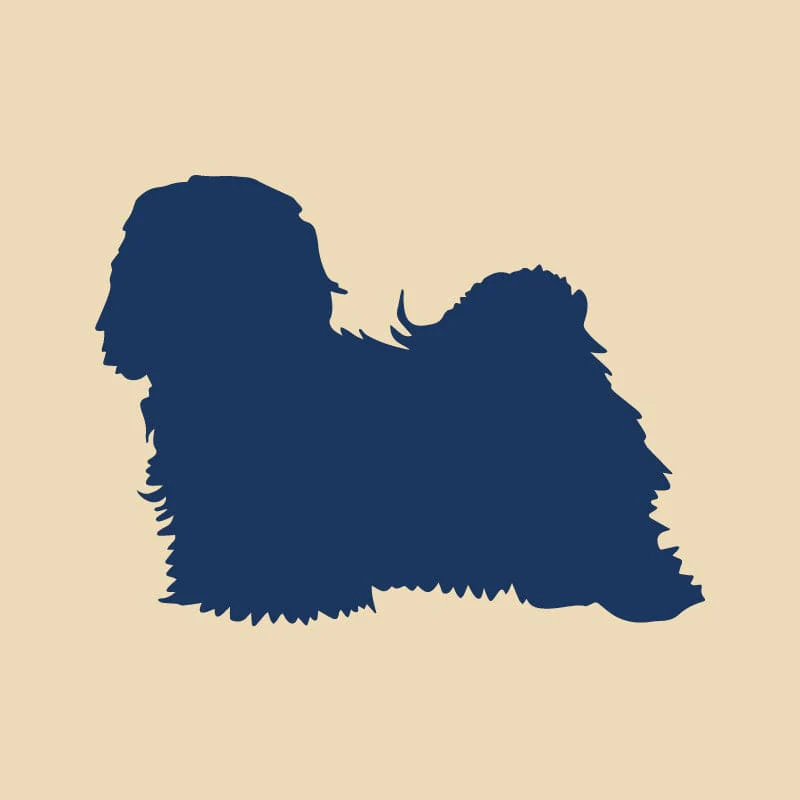 Havanese Embroidered AKC Quarter Zip - Image 17