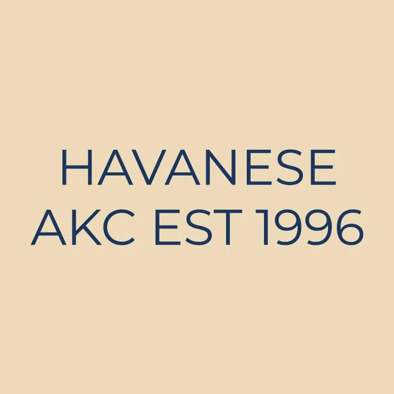 Havanese Embroidered AKC Quarter Zip - Image 18