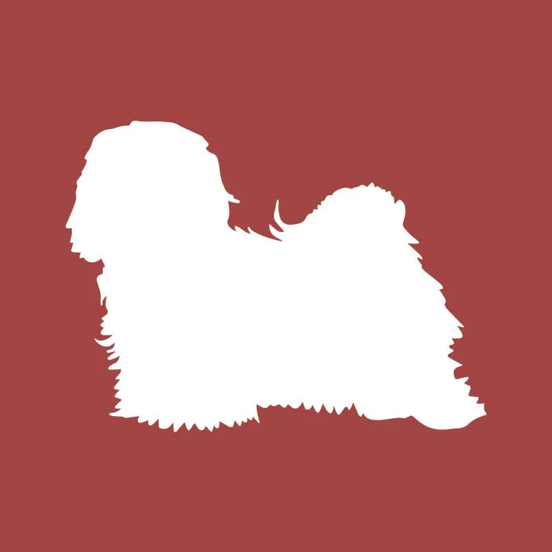 Havanese Embroidered AKC Quarter Zip - Image 2