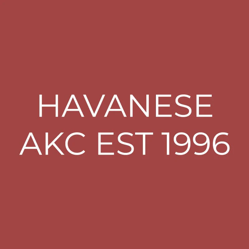 Havanese Embroidered AKC Quarter Zip - Image 3