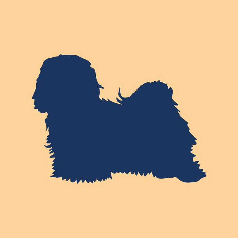 Havanese Embroidered AKC Quarter Zip - Image 5