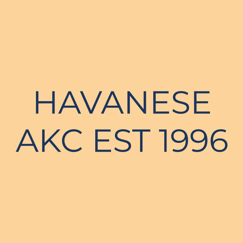 Havanese Embroidered AKC Quarter Zip - Image 6