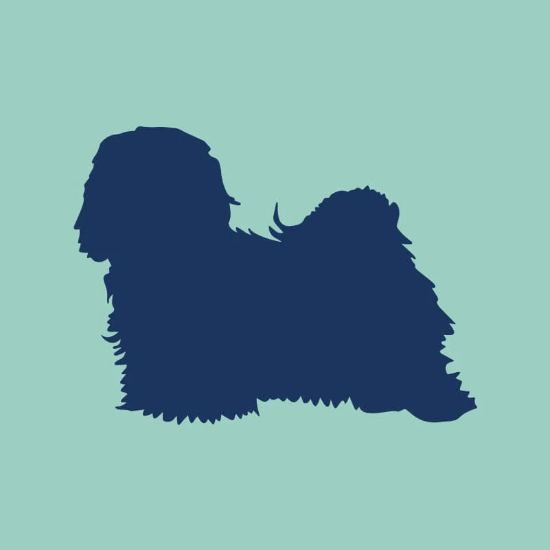 Havanese Embroidered AKC Quarter Zip - Image 8