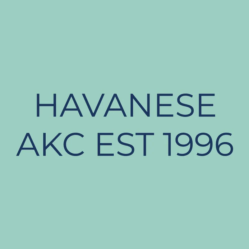 Havanese Embroidered AKC Quarter Zip - Image 9