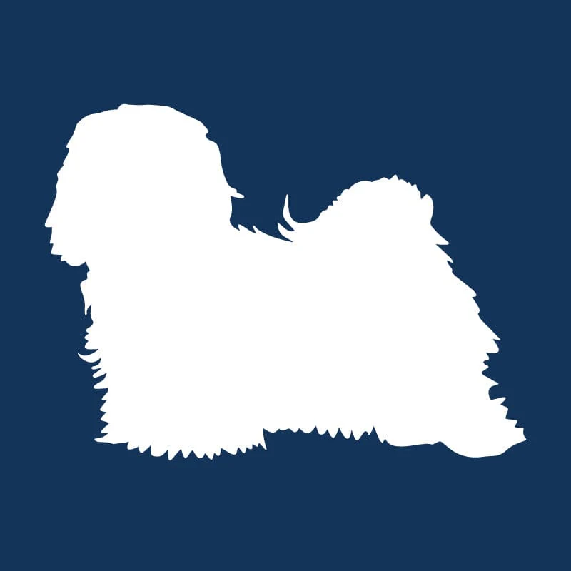 Havanese AKC Embroidered Visor - Image 8
