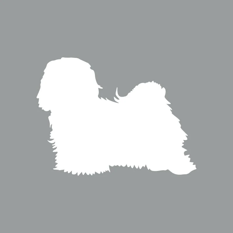 Havanese - Beanie - Image 4