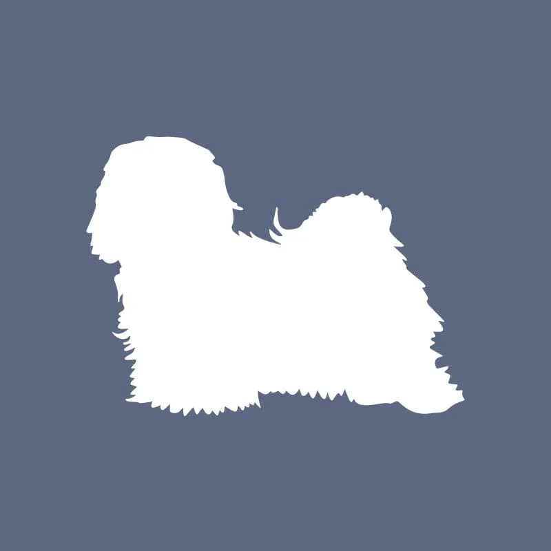 Havanese - Beanie - Image 6