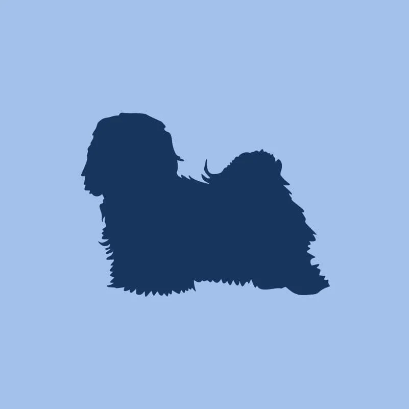 Havanese Children's Full Zip Sweatshirt - Image 2