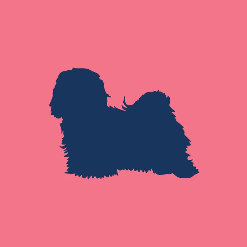 Havanese Children's Full Zip Sweatshirt - Image 6
