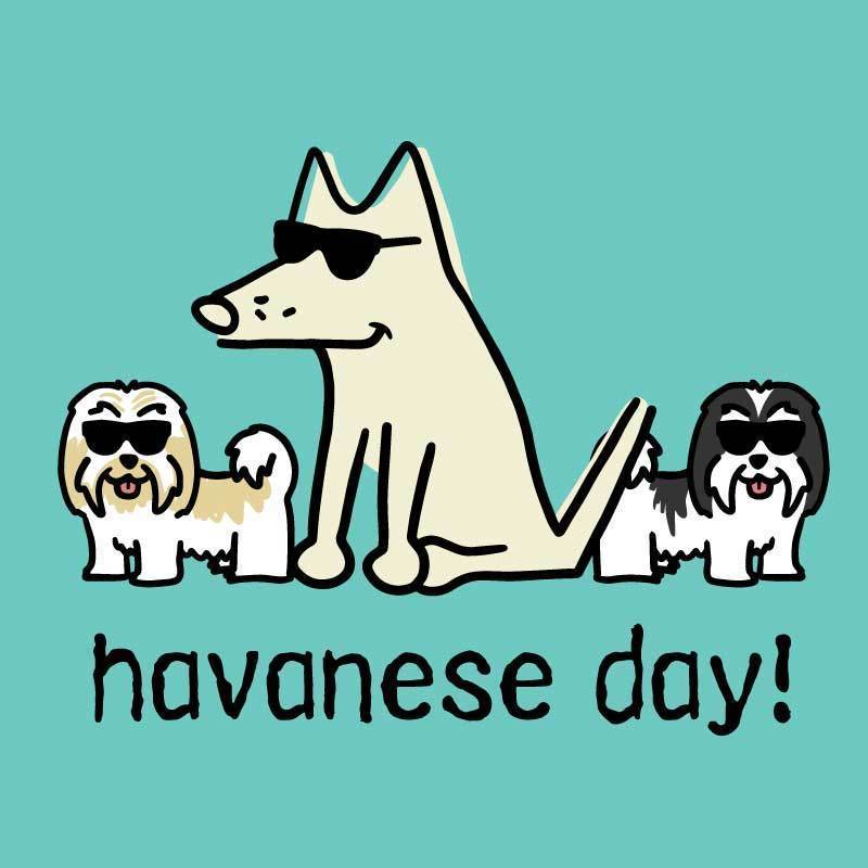 Havanese Day! - Ladies T-Shirt V-Neck - Image 2