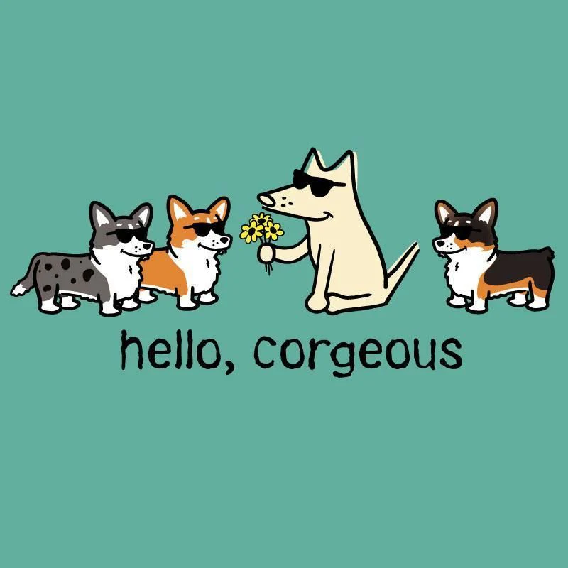 Hello, Corgeous - T-Shirt - Kids - Image 2