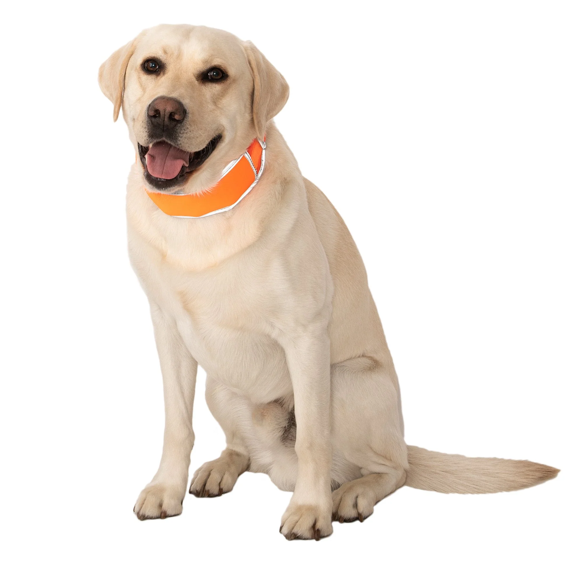 Hi-Vis Cooling Collar - Image 4