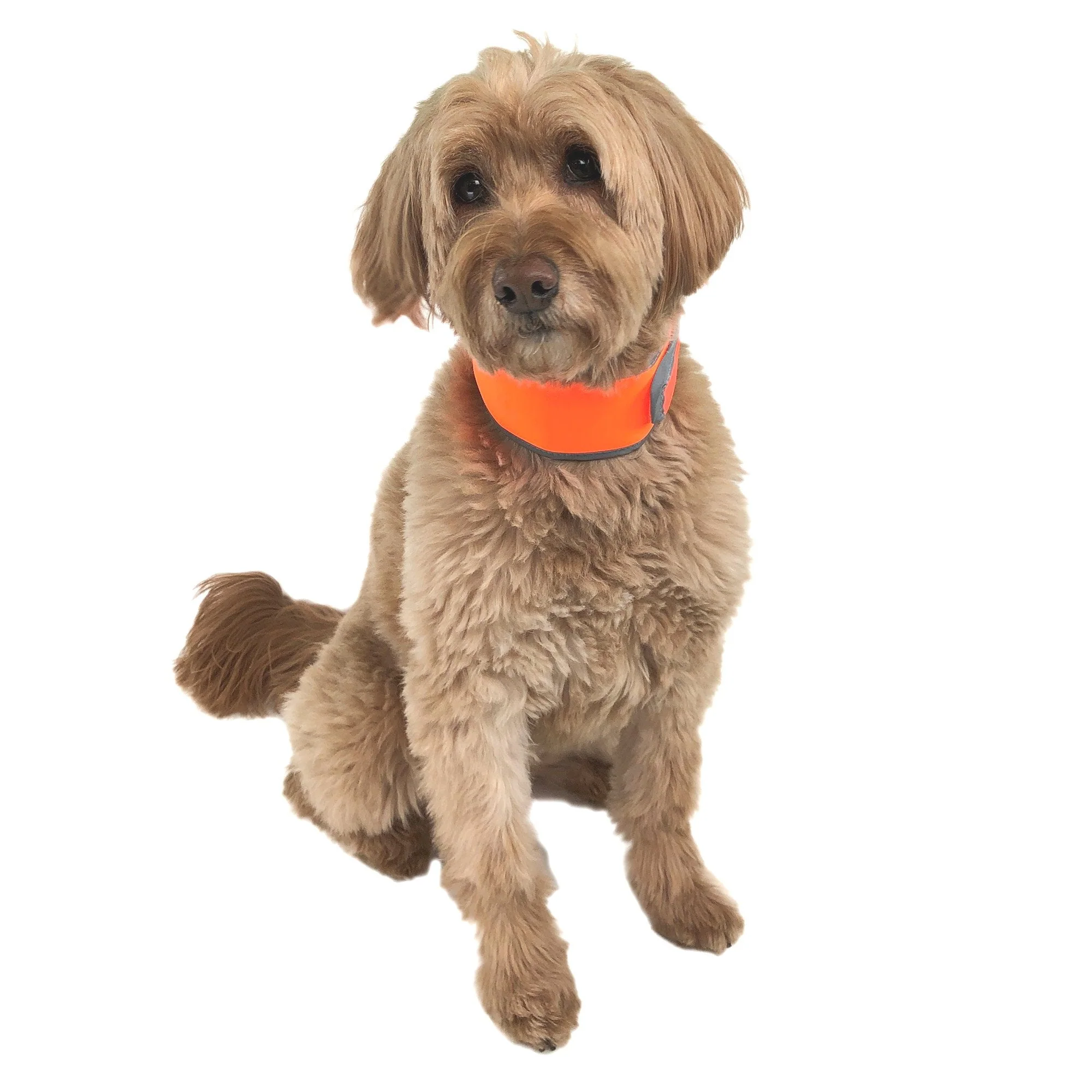 Hi-Vis Cooling Collar - Image 5