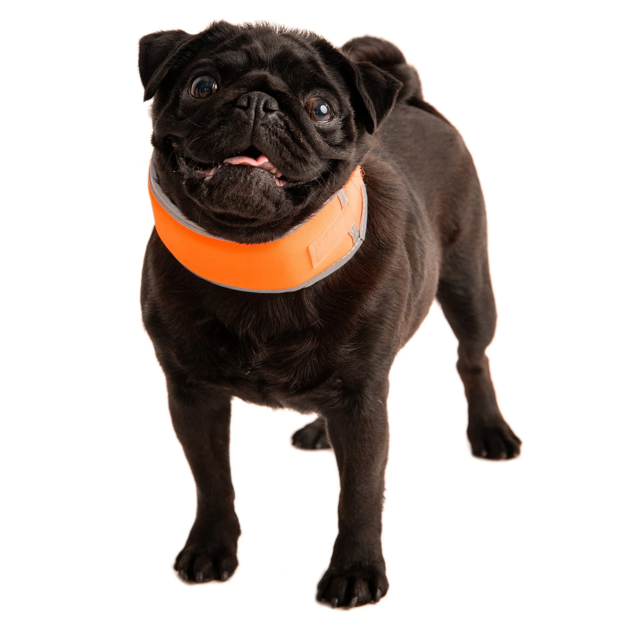 Hi-Vis Cooling Collar - Image 6