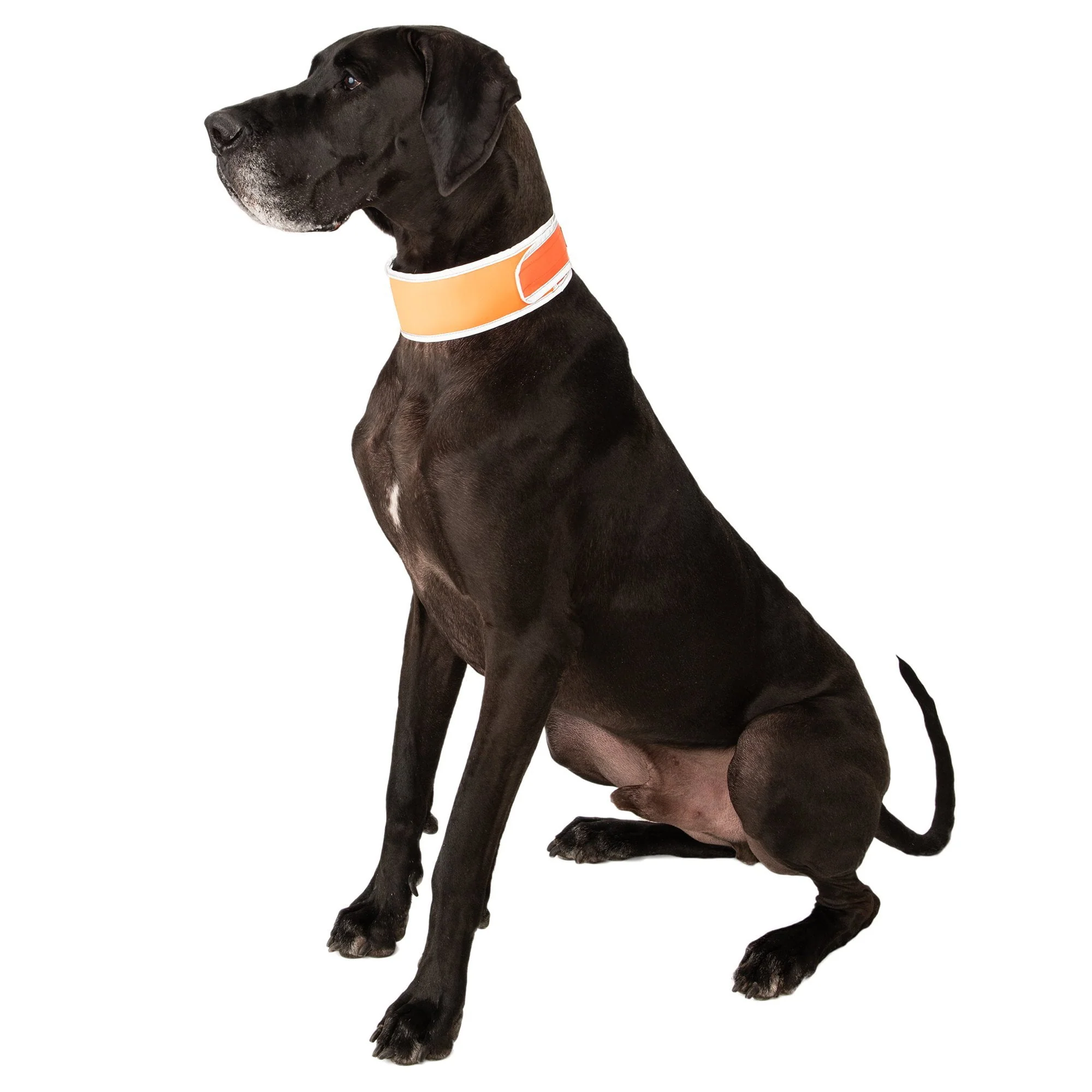 Hi-Vis Cooling Collar - Image 7