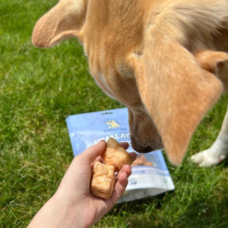 Himalayan Cheese Puff Bites - Treats - Image 5