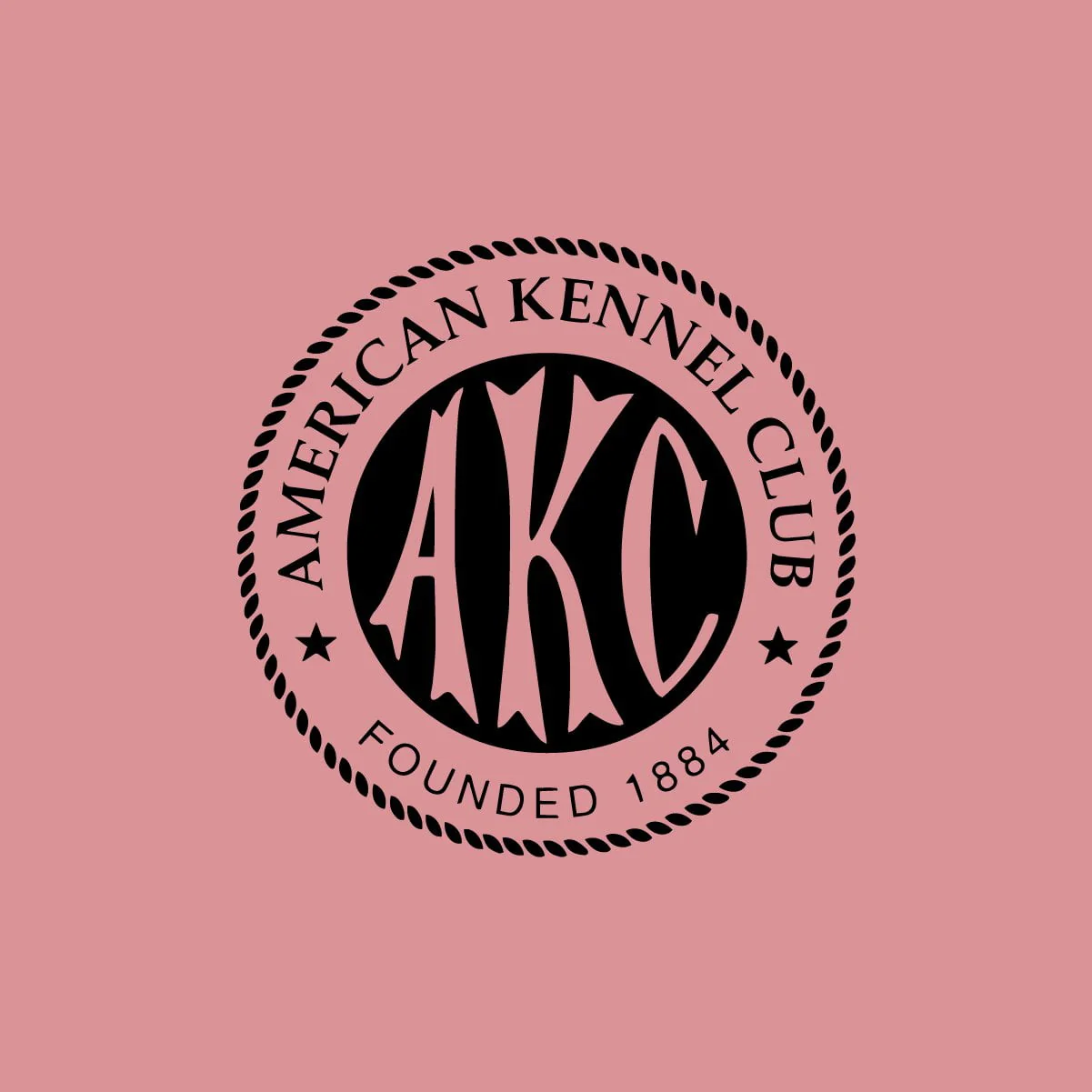 Houses of AKC - V-Neck T-Shirt - Image 3