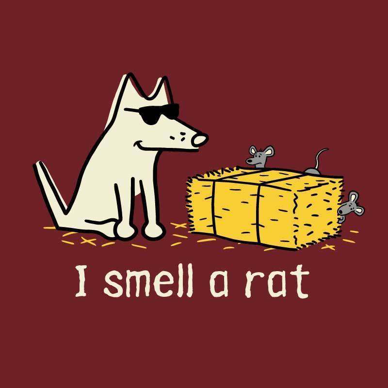 I Smell A Rat - Ladies T-Shirt Crew Neck - Image 2