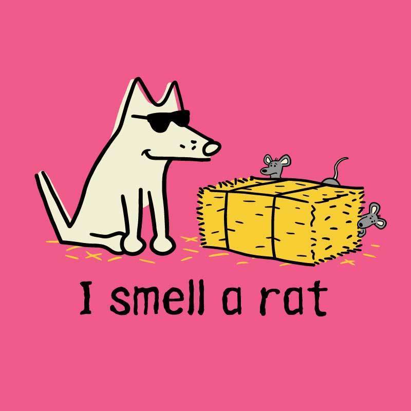 I Smell A Rat - Ladies T-Shirt V-Neck - Image 2