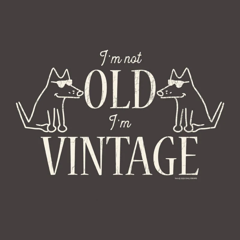 I'm Not Old I'm Vintage - Ladies Curvy V-Neck Tee - Image 2