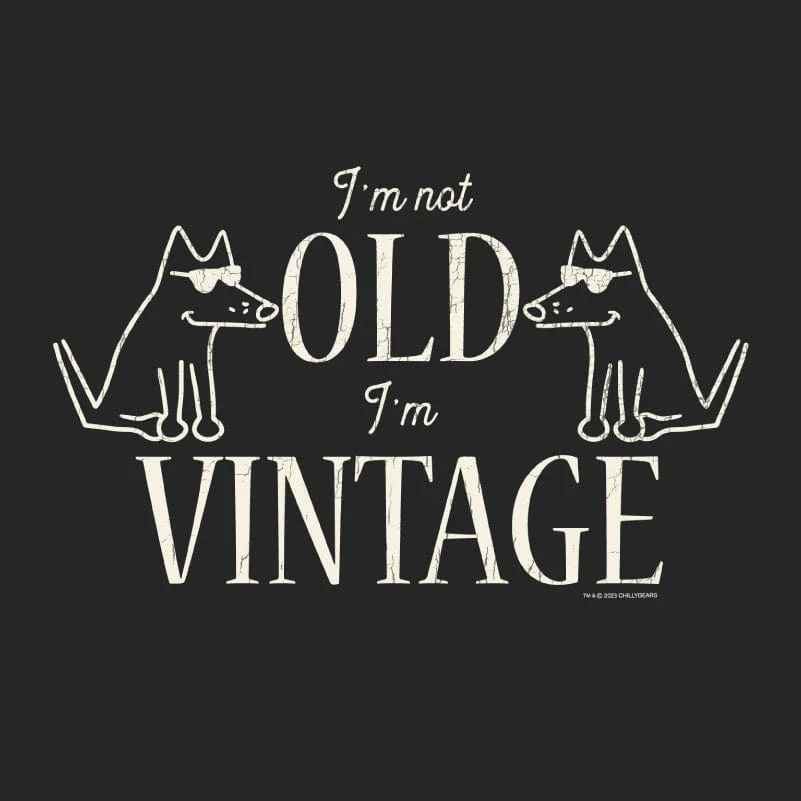 I'm Not Old I'm Vintage - Ladies T-Shirt V-Neck - Image 2
