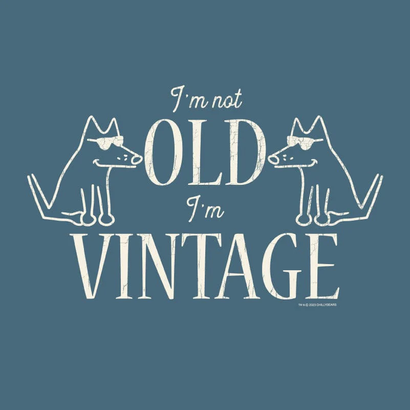 I'm Not Old I'm Vintage - Lightweight Tee - Image 2