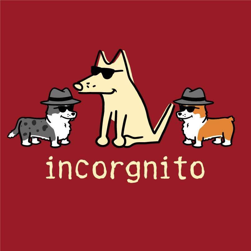 Incorgnito - Ladies T-Shirt V-Neck - Image 2