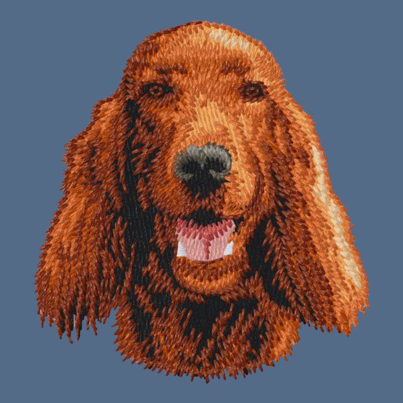Irish Setter Embroidered Women's Denim Shirt - Image 2
