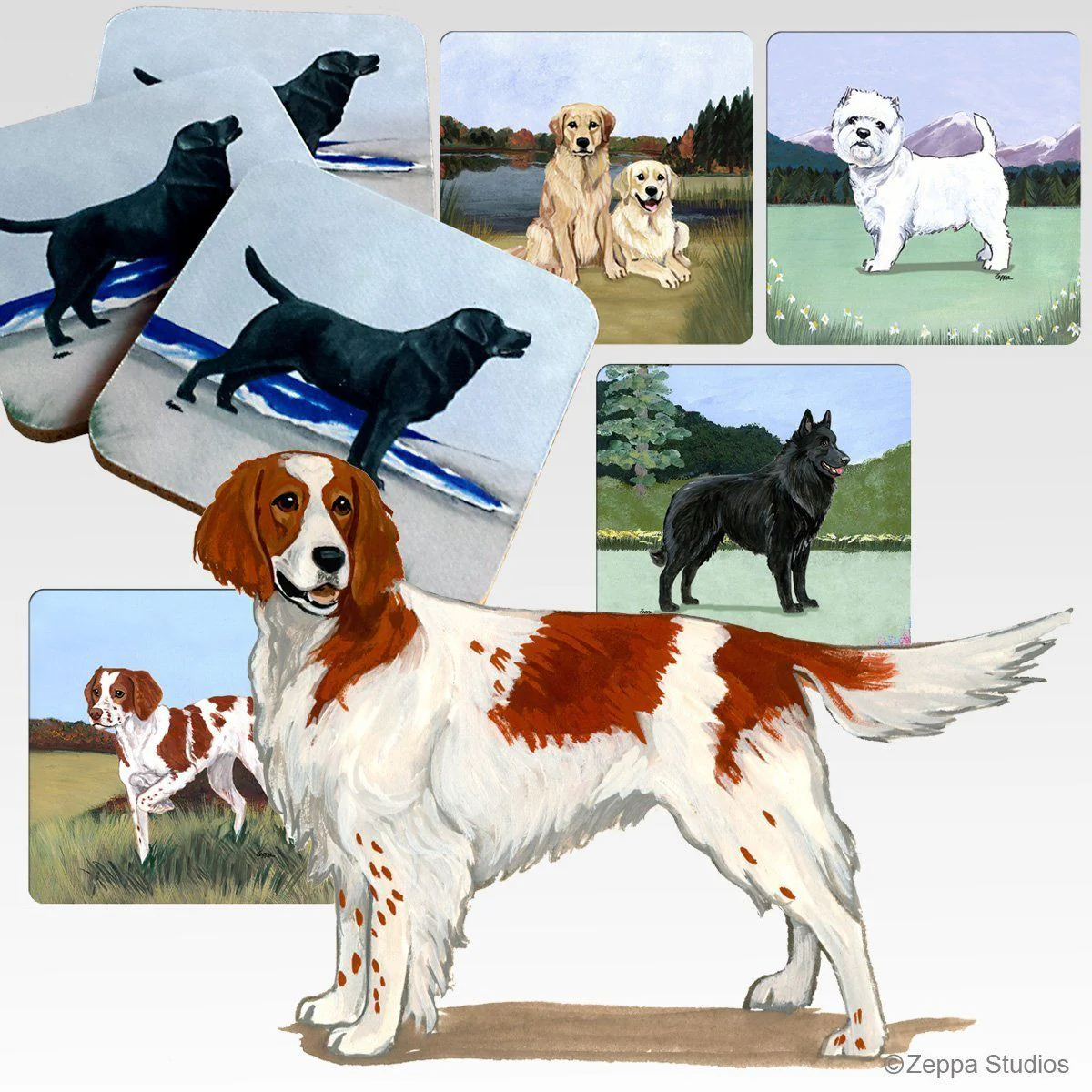 Irish Red & White Setter Scenic Square Coaster