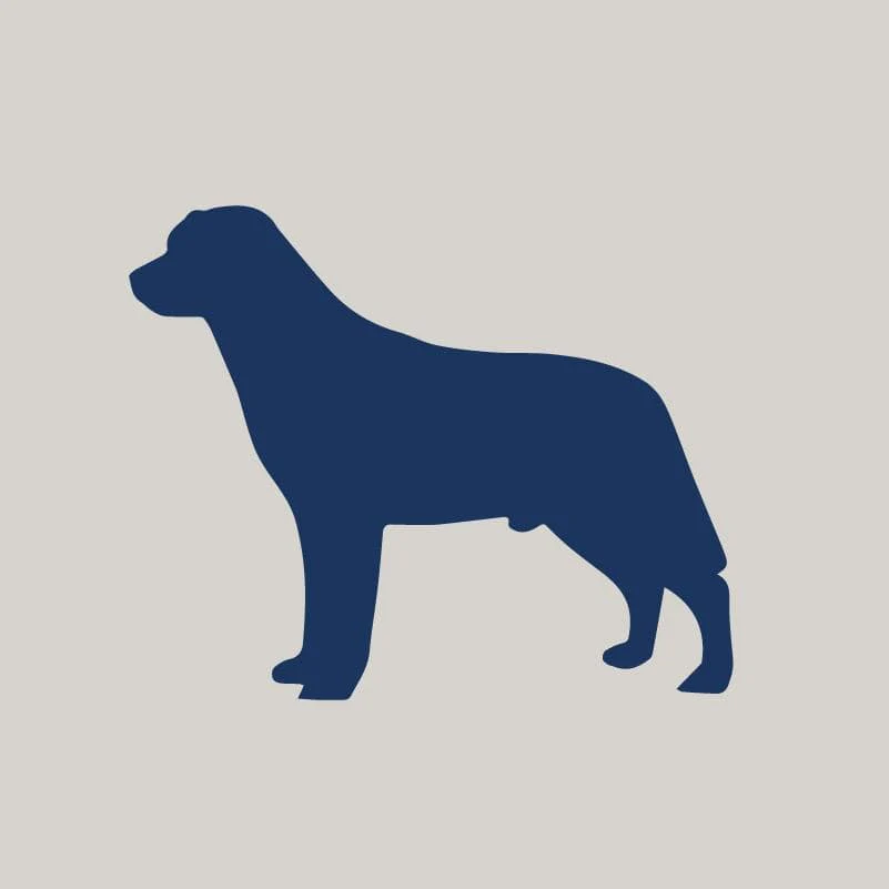 Labrador Retriever AKC Embroidered Visor - Image 2
