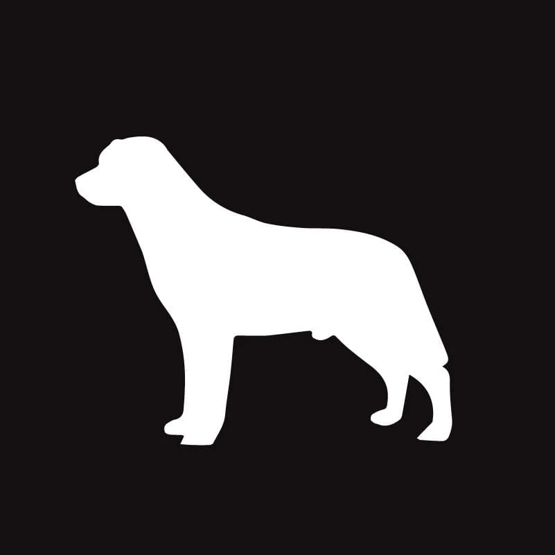 Labrador Retriever AKC Embroidered Visor - Image 4