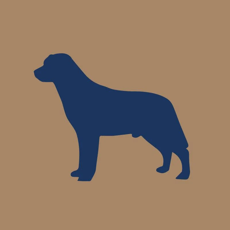 Labrador Retriever AKC Embroidered Visor - Image 6