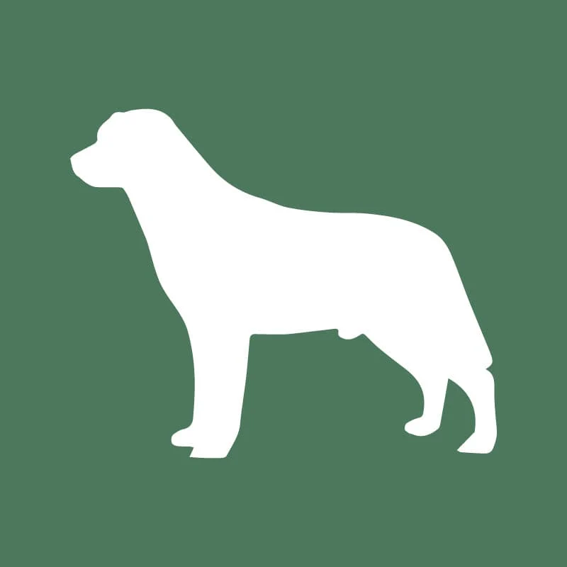 Labrador Retriever Embroidered AKC Quarter Zip - Image 14