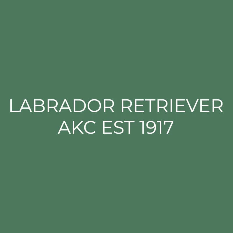 Labrador Retriever Embroidered AKC Quarter Zip - Image 15