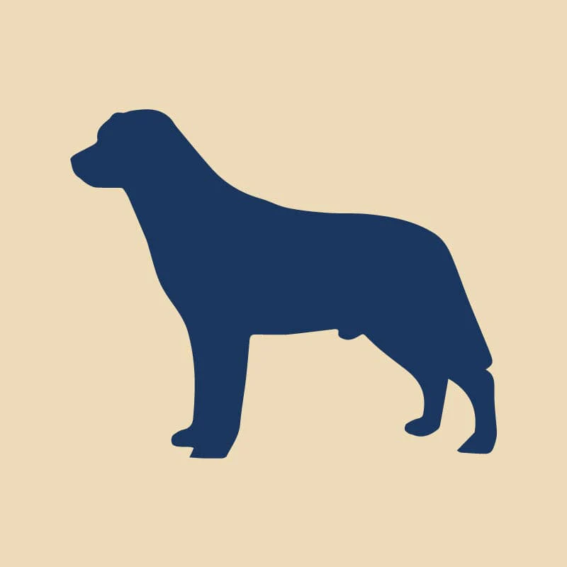Labrador Retriever Embroidered AKC Quarter Zip - Image 17