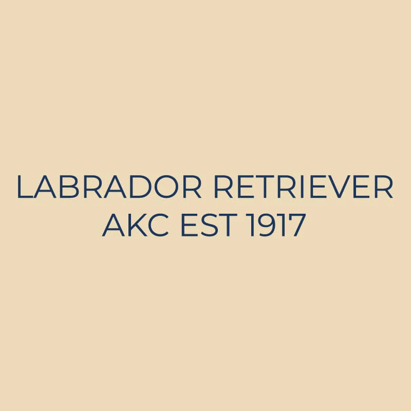 Labrador Retriever Embroidered AKC Quarter Zip - Image 18