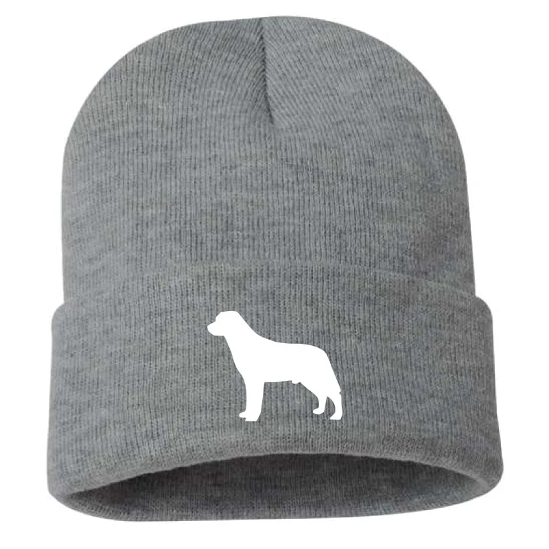 Labrador Retriever - Beanie - Image 3