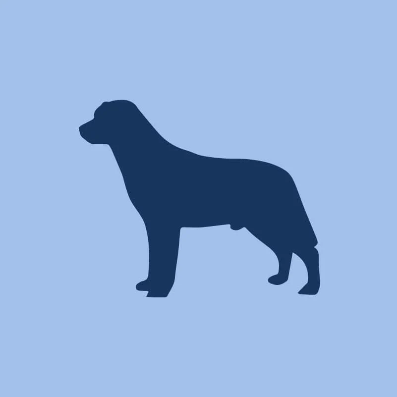 Labrador Retriever Children's Full Zip Sweatshirt - Image 2