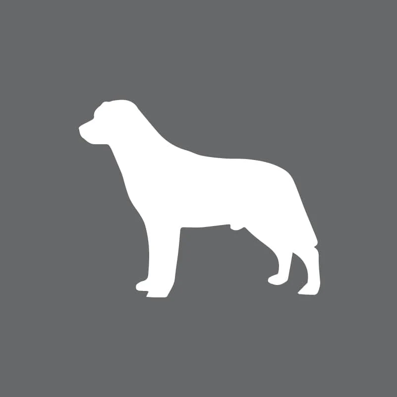 Labrador Retriever Toddler Full Zip Sweatshirt - Image 2
