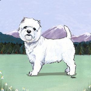 Leonberger Scenic Square Coaster - Image 6