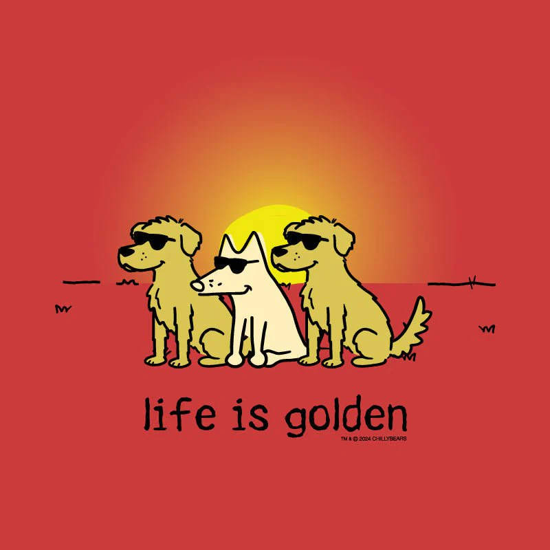 Life is Golden - Ladies Curvy V-Neck Tee - Image 2