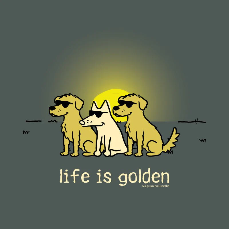 Life is Golden - Lightweight Tee - Image 2