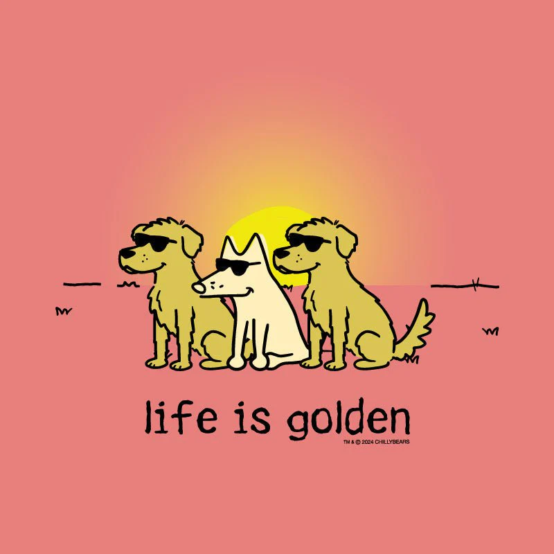 Life is Golden - Sweatshirt Pullover Hoodie - Image 2