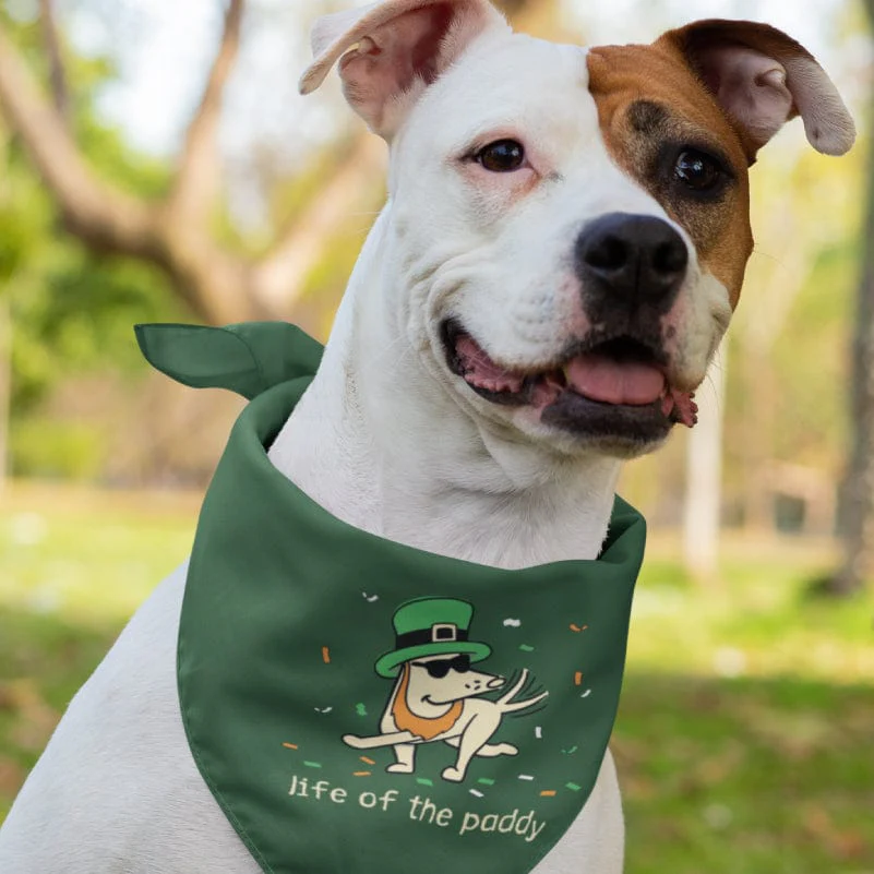 Life of the Paddy - Doggie Bandana - Image 2