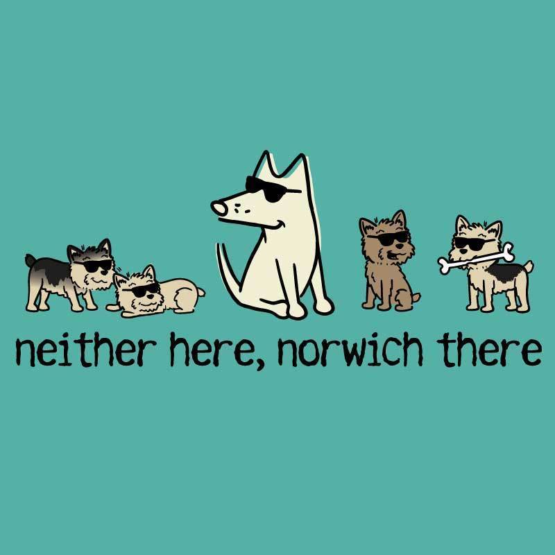 Neither Here, Norwich There - Ladies T-Shirt V-Neck - Image 4