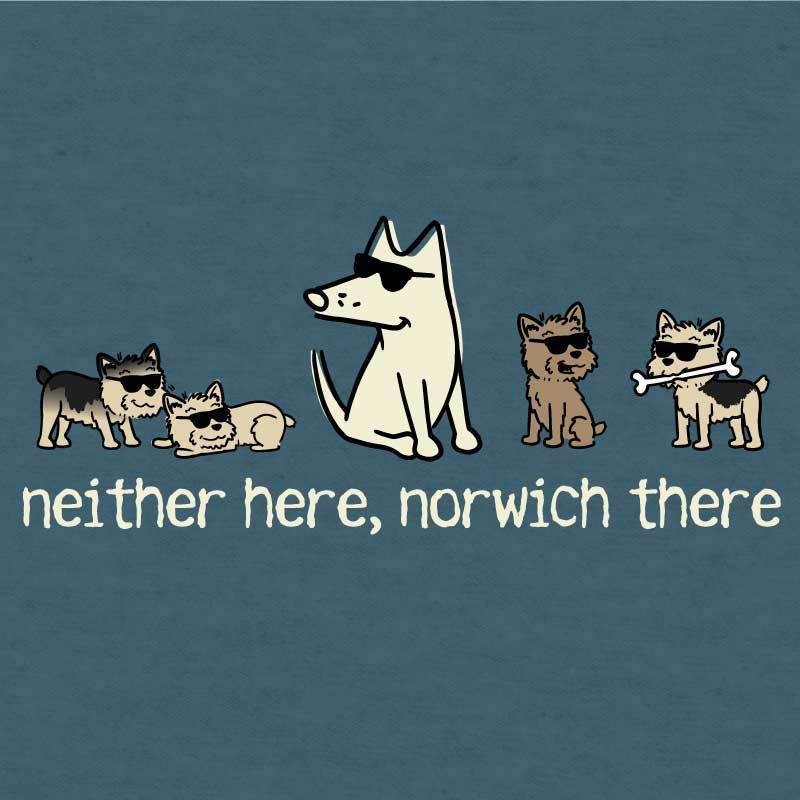 Neither Here, Norwich There - Lightweight Tee - Image 2