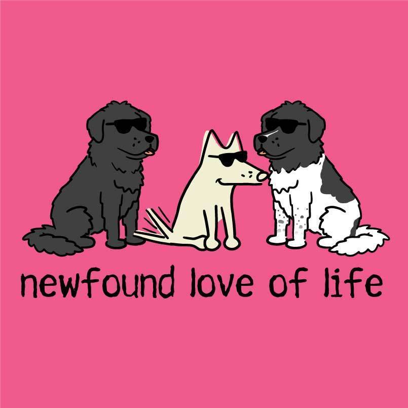 Newfound Love of Life - Ladies T-Shirt V-Neck - Image 2