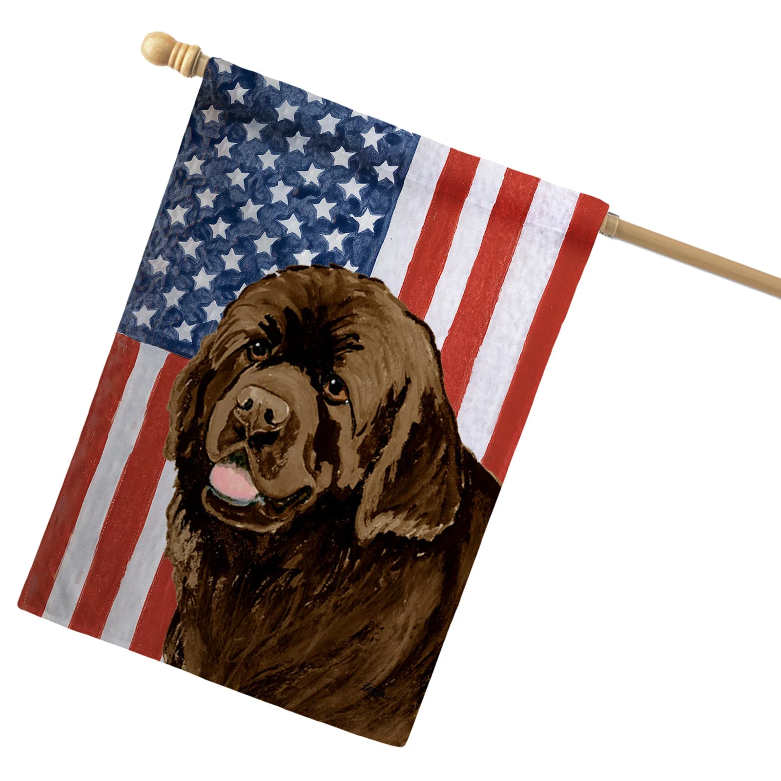 Newfoundland Americana House Flag - Image 2
