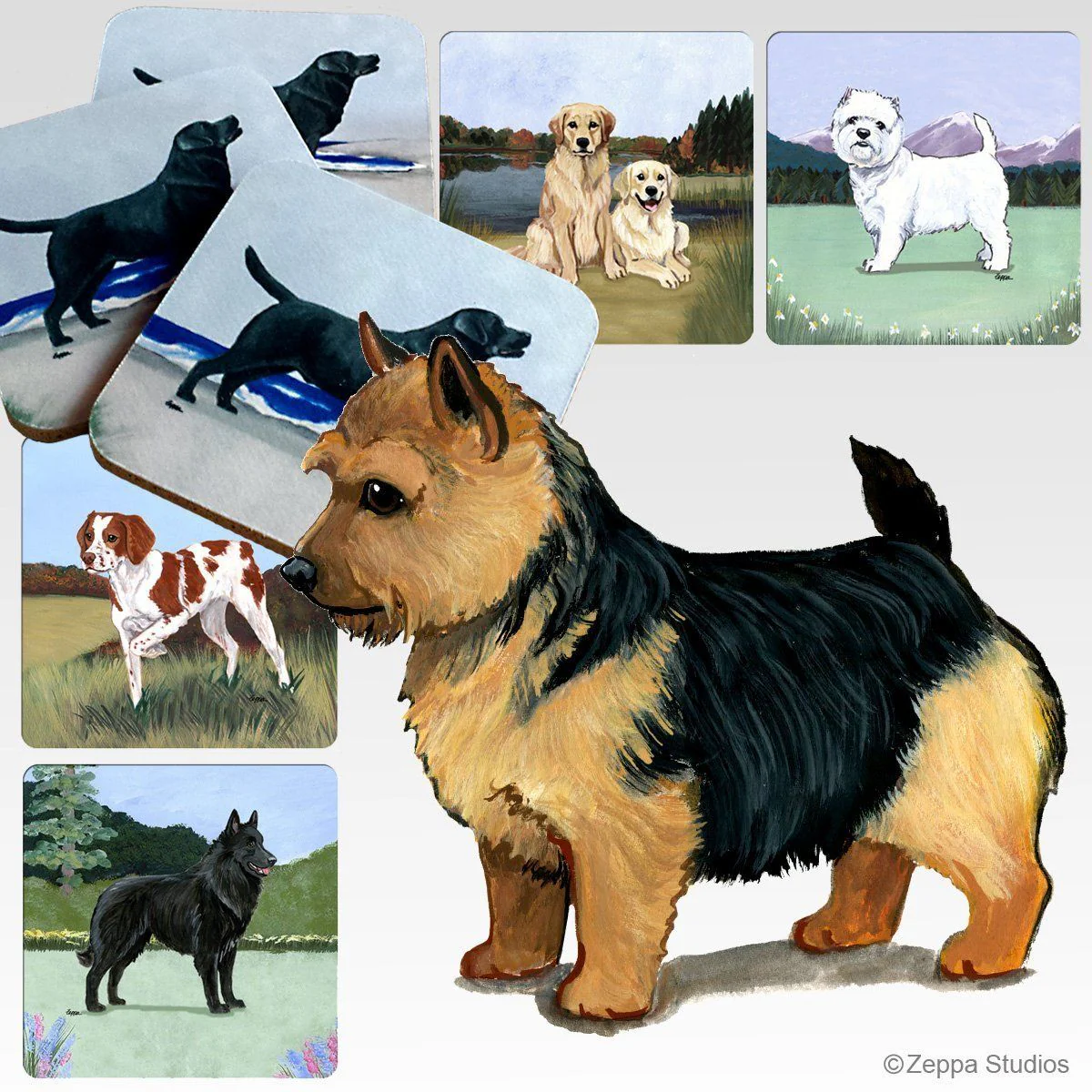 Norwich Terrier Scenic Square Coaster - Image 2